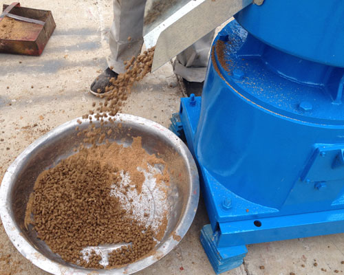 小型雞顆（kē）粒飼料機生產視頻