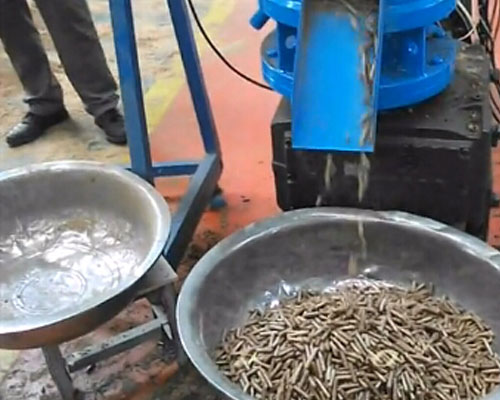 小型魚飼料顆粒機加工視（shì）頻