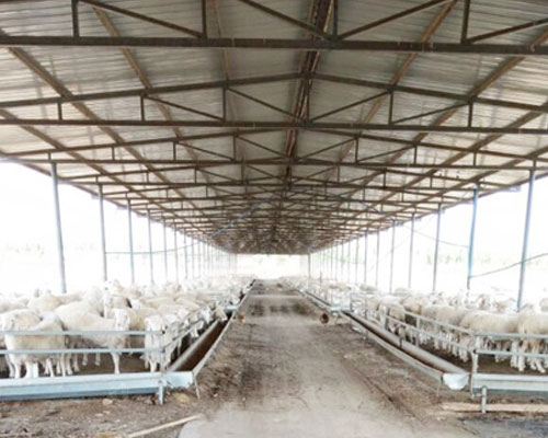 鄭州客戶訂（dìng）購300型（xíng）豬飼料顆粒機案（àn）例