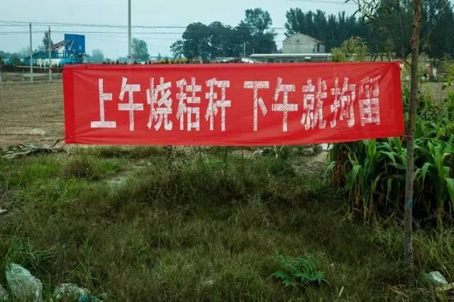 河南打擊焚燒秸稈 路上雷(léi)人標語頻現
