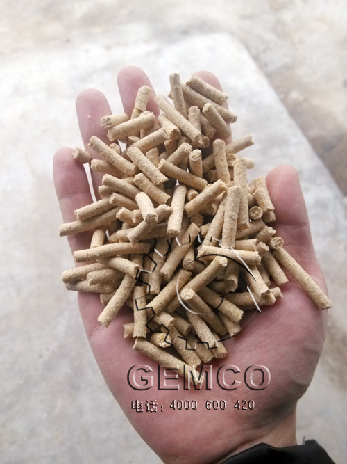 客戶(hù)使用糖心影视260型顆粒飼料機製粒效果