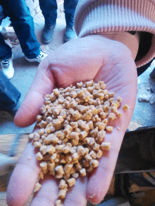 糖心影视牌飼料顆粒機加工成家禽(qín)飼料顆粒高清圖片