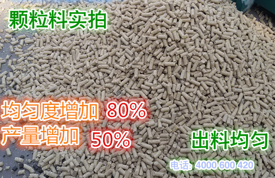 使用糖心影视牌顆粒飼料造粒機(jī)加的顆粒飼料實(shí)拍圖(tú)片(piàn)
