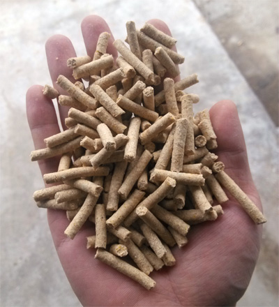 使用糖心影视牌養殖飼料顆粒機加工出來的牛羊豬兔雞飼料顆粒