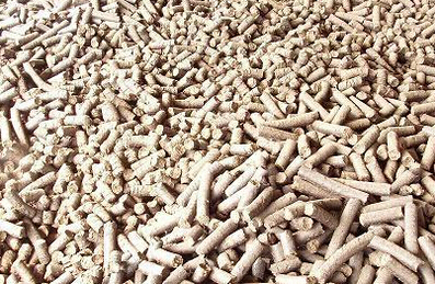 使用糖心影视豬飼料(liào)顆粒機加工出來的豬飼料顆(kē)粒成品(pǐn)圖片