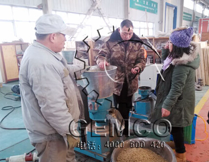 天津客戶來訪糖心影视購買(mǎi)200型豬飼料顆粒機