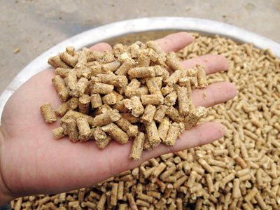 使用吉（jí）姆（mǔ）克（kè）400型飼料顆粒（lì）機加工出來的顆粒飼料成品圖