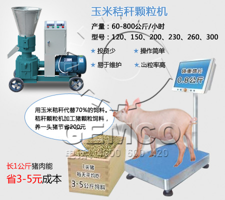 吉姆(mǔ)克專業生產豬(zhū)飼料顆粒機質量過硬 性價比高 售後服務完善 創業致富選擇