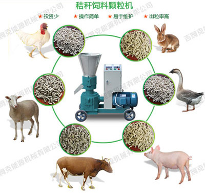 玉米秸稈加工顆粒飼料喂豬牛羊